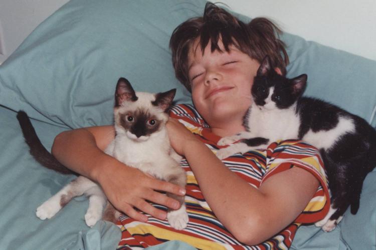 A boy and his cats
